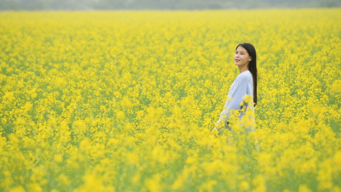 4K油菜花海里的少女