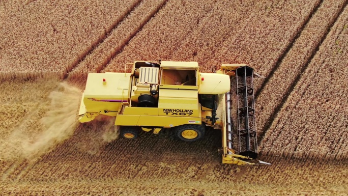 小麦收割金色麦田收割机航拍
