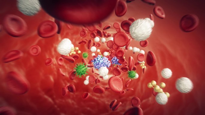 三维血细胞动画