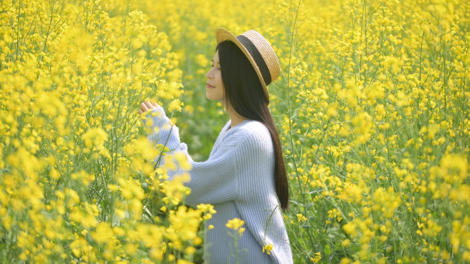 4K油菜花海里的少女