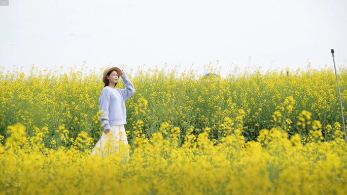 4K油菜花海里的少女