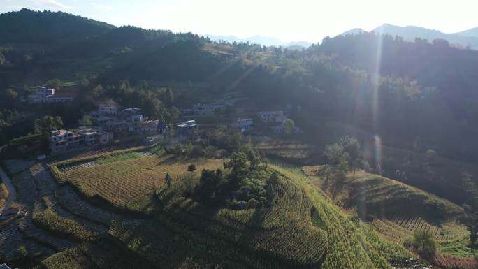 航拍新农村建设环境风景