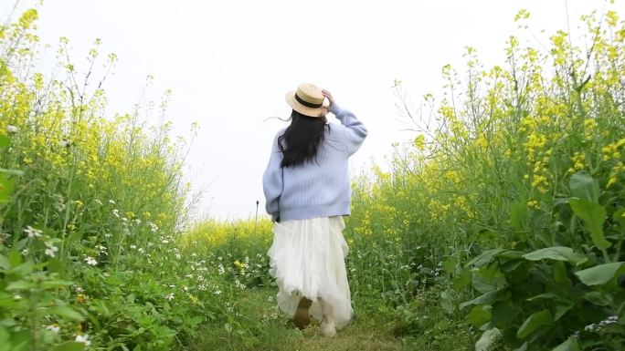 升格油菜花海里的少女