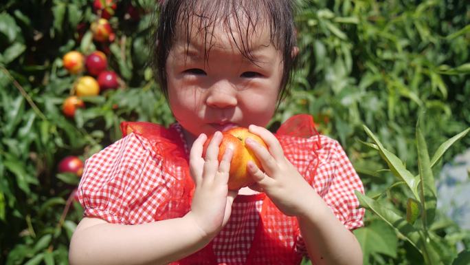 在果园里吃着油桃的儿童