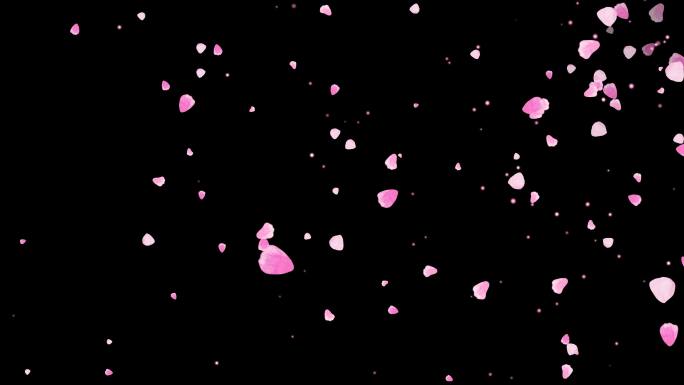 4K粉红花瓣粒子飘扬通道视频-循环2