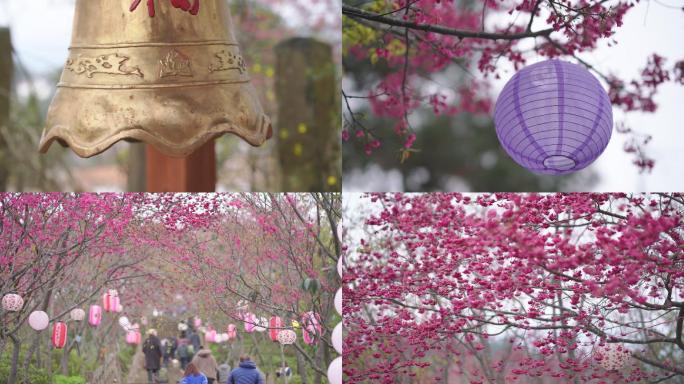 樱花灯笼祈福