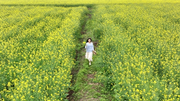 4k升格油菜花海里奔跑的少女