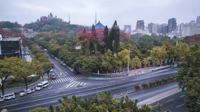 广州_中山纪念堂_车流延时