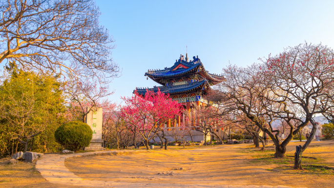 南京梅花山博爱阁日出延时