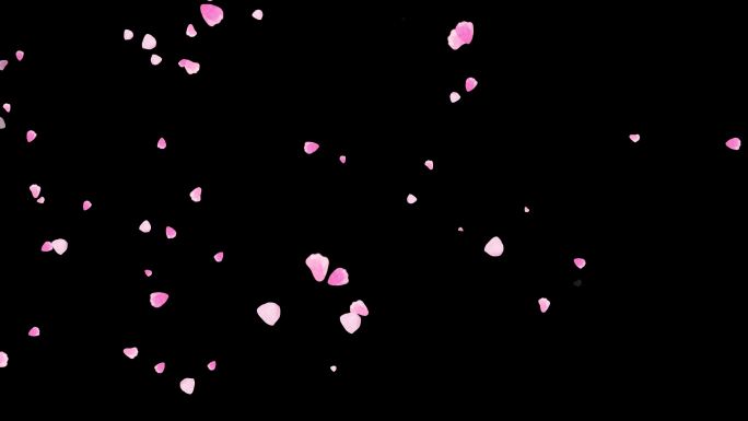 4K粉红花瓣粒子飘扬通道视频-循环1