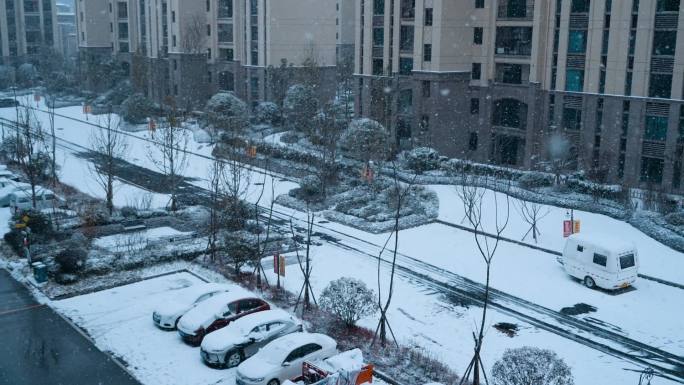 唯美雪景漫天雪花飘落小院枝头冬季路灯雪景