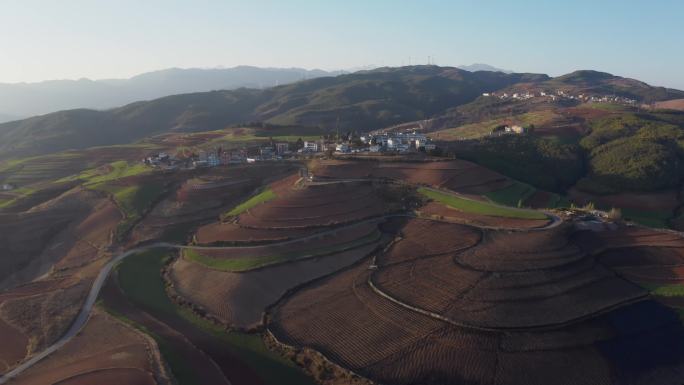 乡村振兴高原农业东川红土地