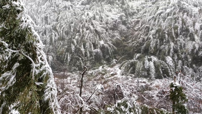 湘南郴州仰天湖高山4K雪景4