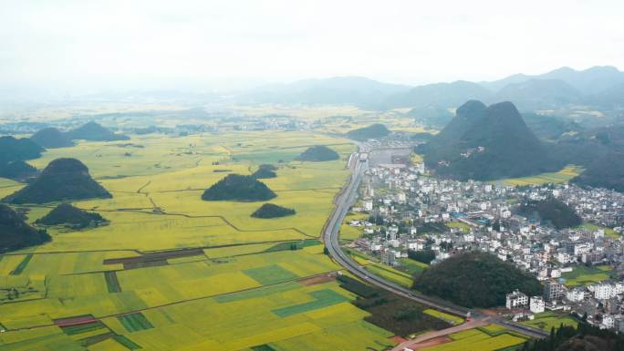 乡村振兴罗平油菜花