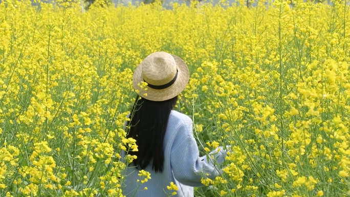 升格油菜花花海里的少女