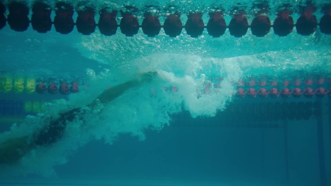 升格运动员游泳训练