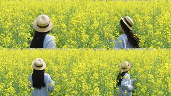 升格油菜花花海里的少女