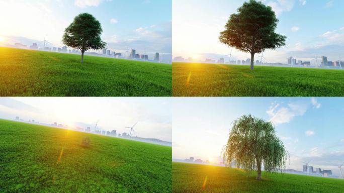环保大树/树木生长动画/城市环保