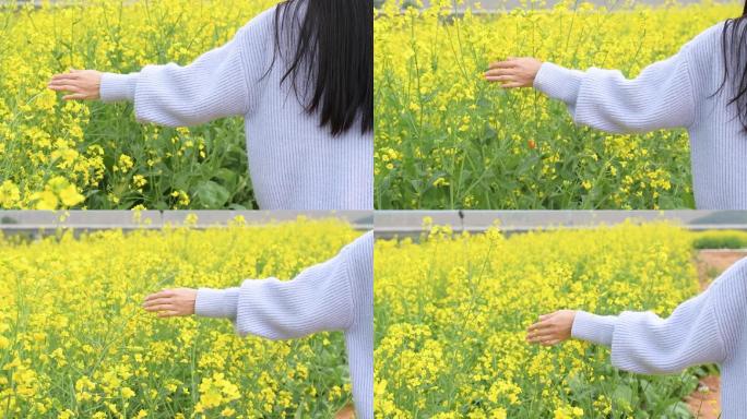 升格油菜花花海里的少女