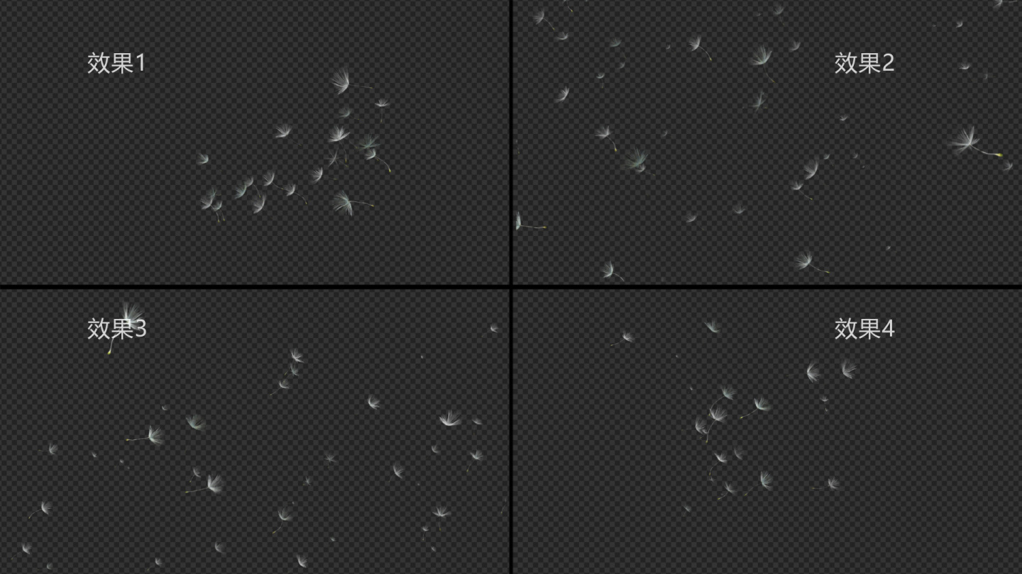 4组蒲公英飘散通道视频素材