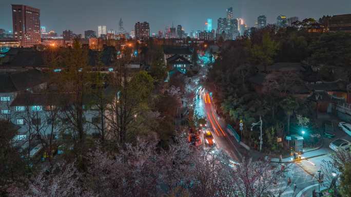 南京_樱花大道_鸡鸣寺路_夜景延时