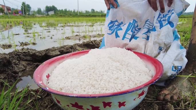 碳酸氢铵化肥