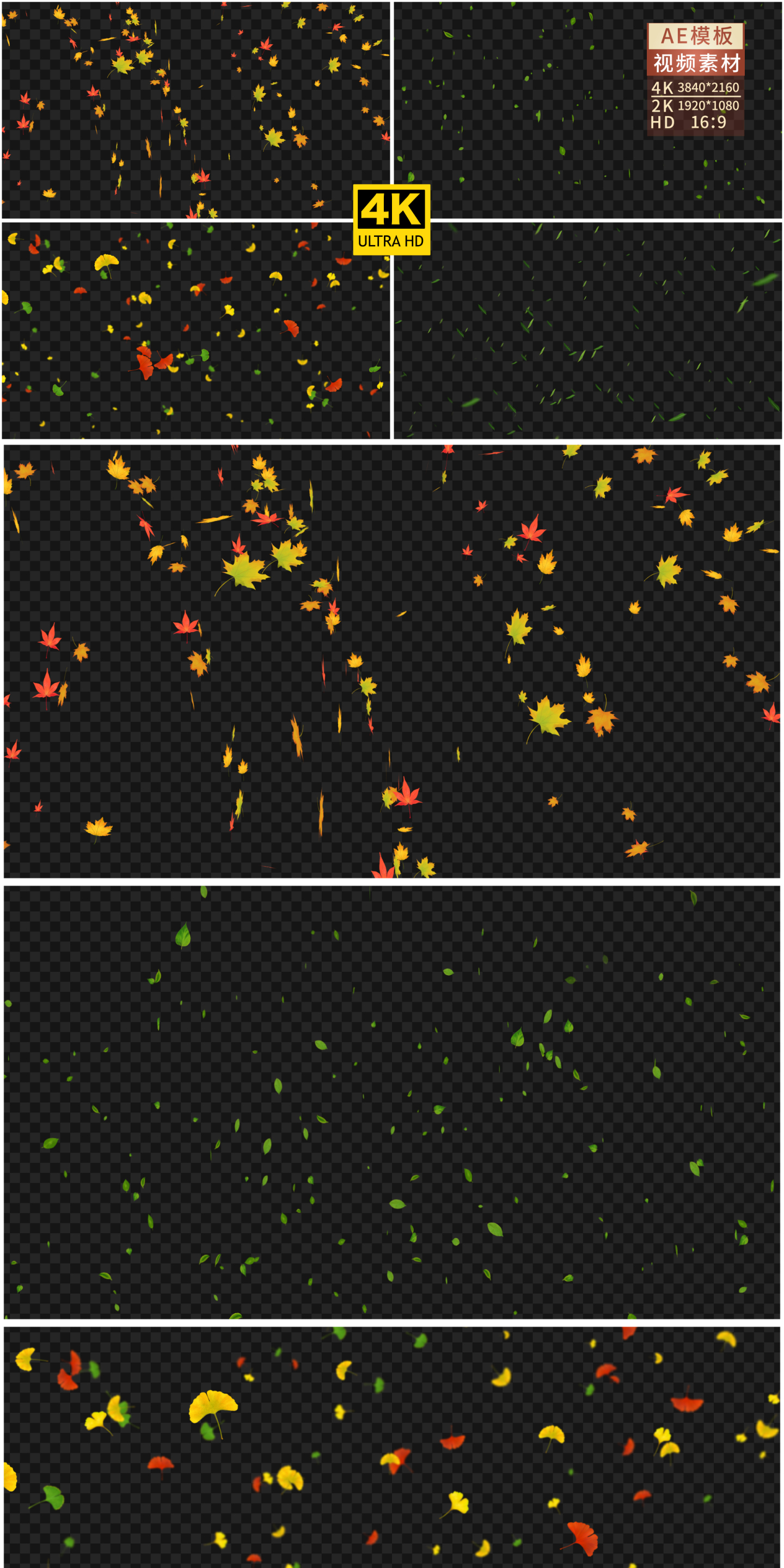 树叶飘落4组-3840x2160