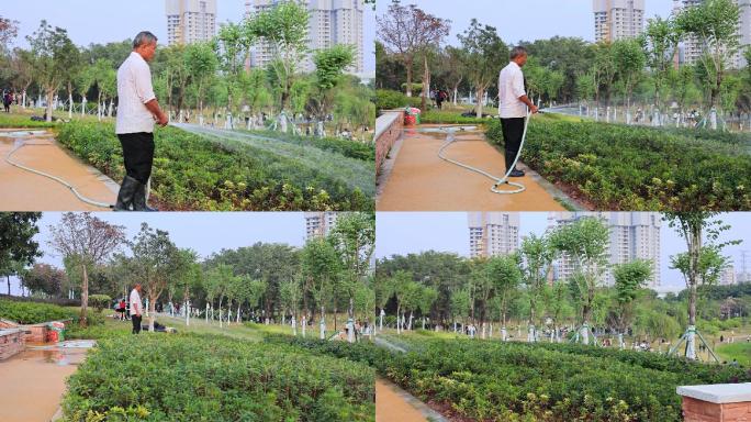 公园绿植浇水