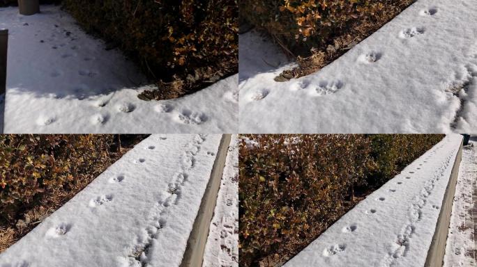 原创视频素材 街头雪景 雪地脚印