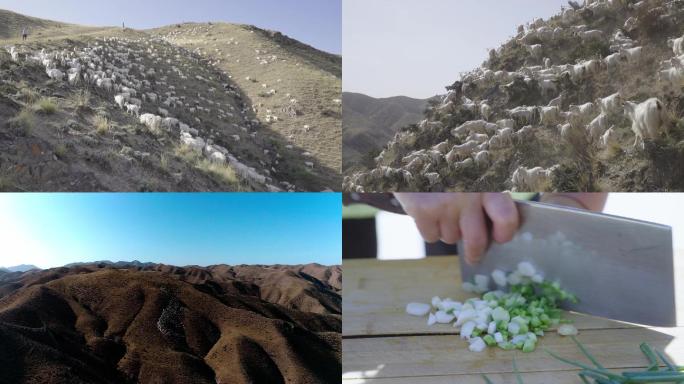 原生态 白山羊 羊吃草 养殖场 炖羊肉