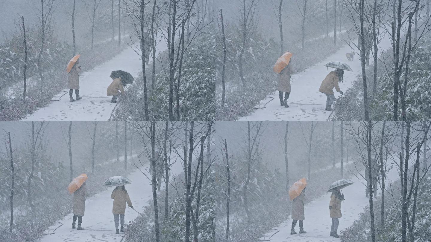 下大雪时在雪上步行的人