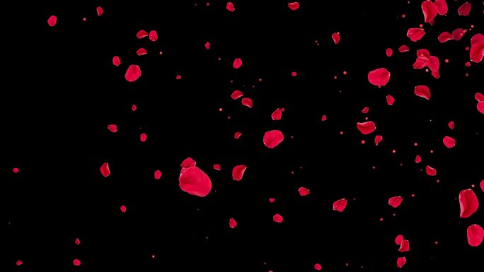 4K红色花瓣粒子飘扬通道视频-循环2