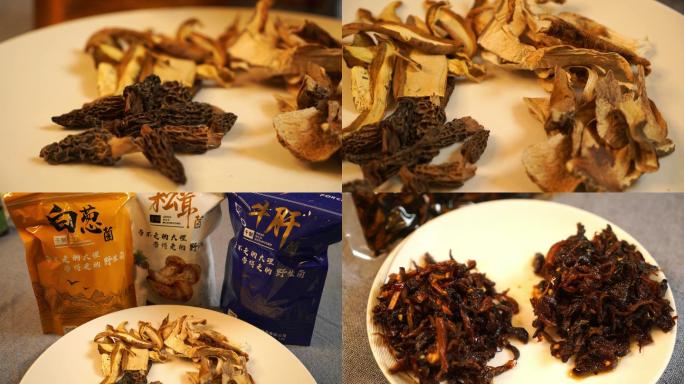 白葱菌松茸菌牛肝菌