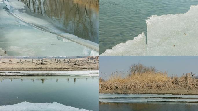 湿地春季冰雪河流融化枯树滩涂