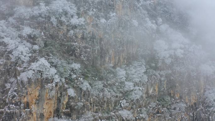 昆明西山雾淞雪景