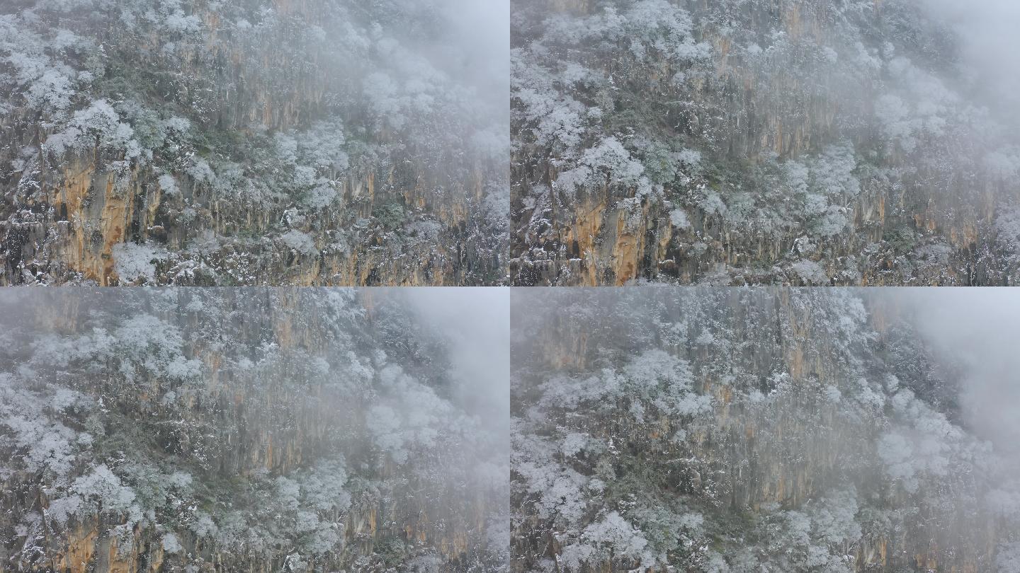 昆明西山雾淞雪景
