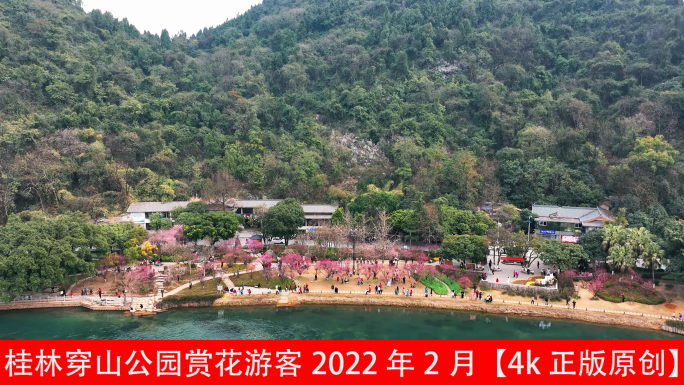 桂林穿山公园赏花游客2022年2月