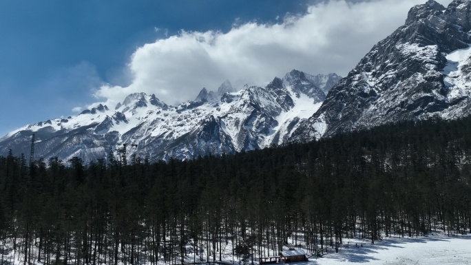 航拍玉龙雪山云杉坪