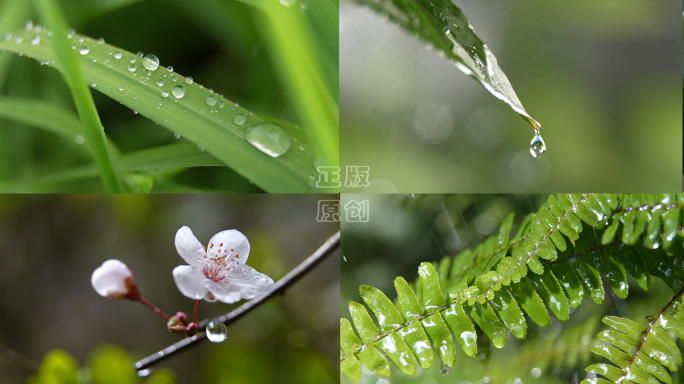 水滴雨滴滴水