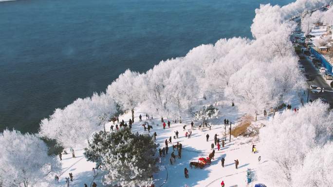 4k吉林雾凇航拍雪乡树挂松花江冬季风光