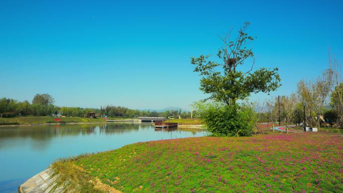 河道治理河堤坝治理