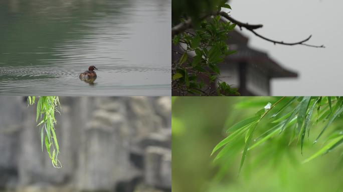 下雨天