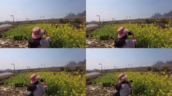 女摄影师 拍摄 摄影  油菜花