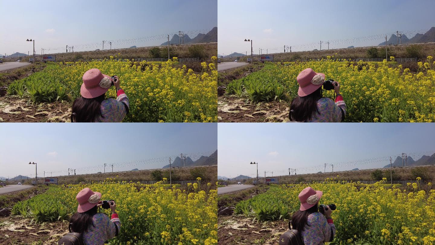 女摄影师 拍摄 摄影  油菜花