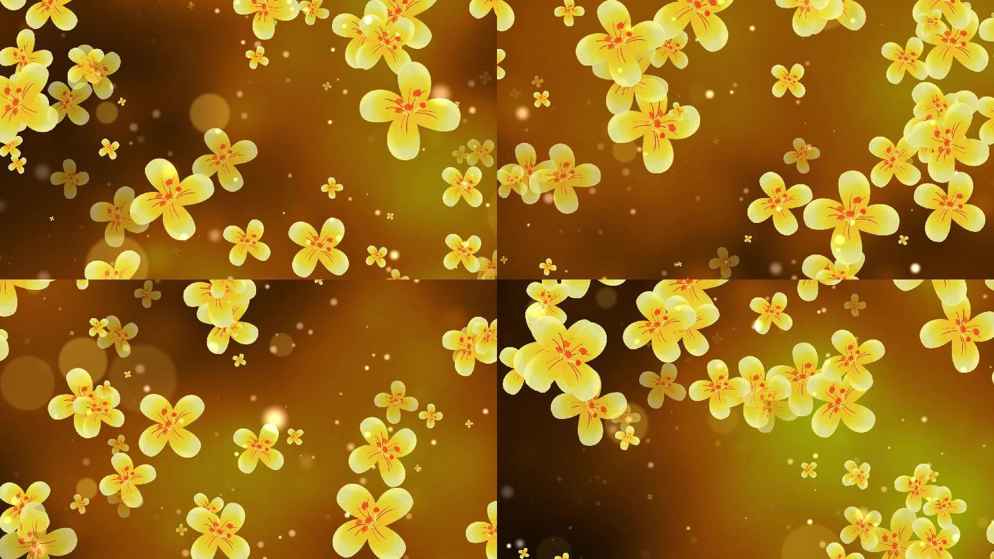 金色 桂花 背景视频