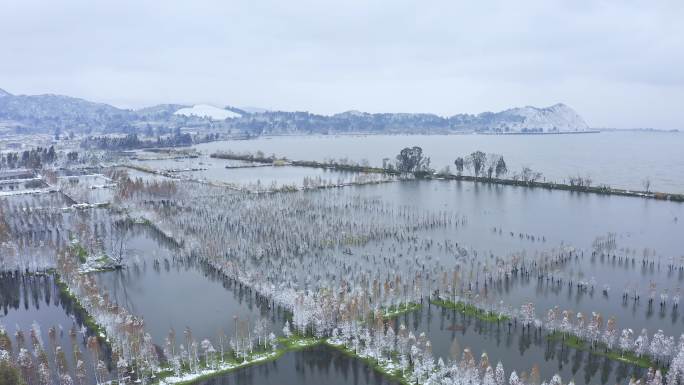 昆明晋宁南滇池国家湿地公园雪景航拍