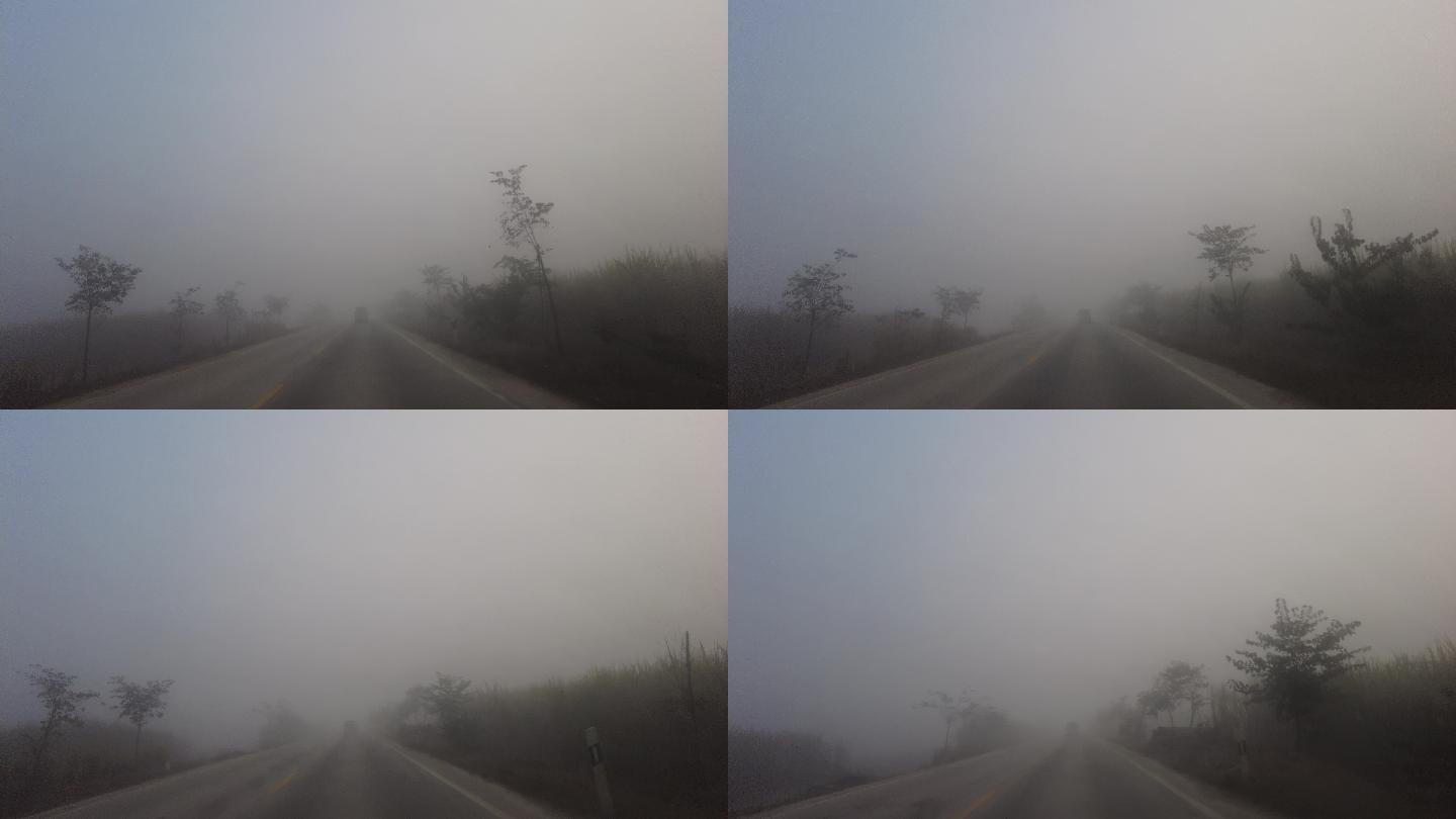 大雾 雾霾 天气 气候