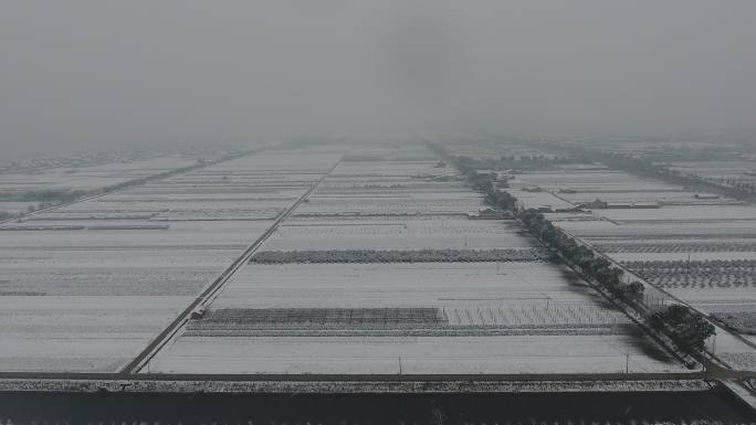 航拍农村雪天农田