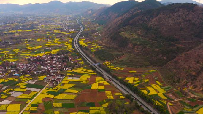 春天陕西汉中南郑油菜花铁路航拍4K