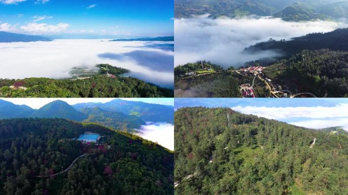 云海写意  茶山云海 山村云海